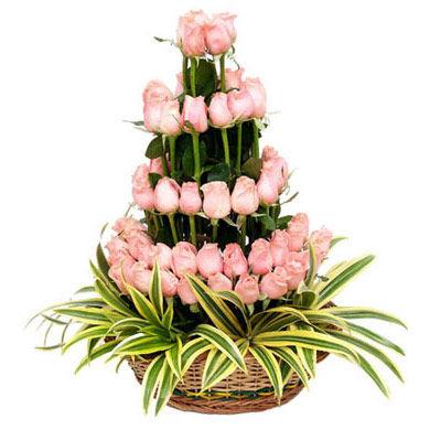 Pink Tower Flower