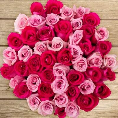 50 Assorted Pink Roses