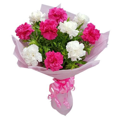 Carnation Love Flower