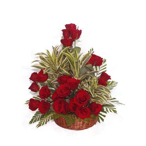 Rosy Bonanza Flower