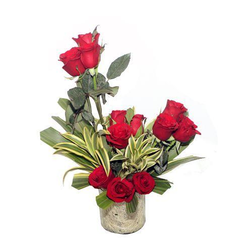 Blooming Red Flower