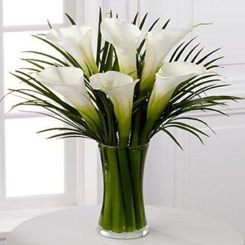 Caucasian Lady Exotic Flower