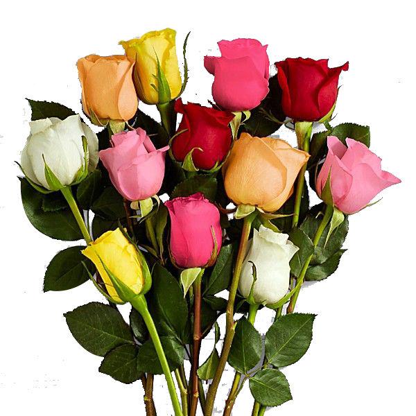 Assorted Roses Flower - Original