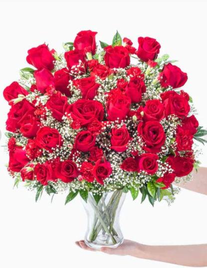 Rose Extravaganza