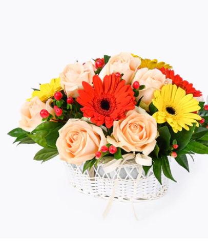 Bowl of Brightness