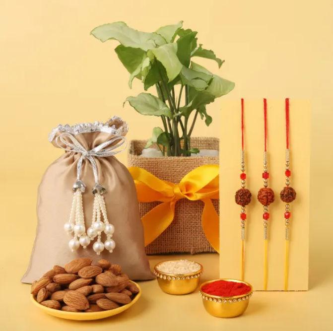 Healthy Rakhi Trio Gift Hamper