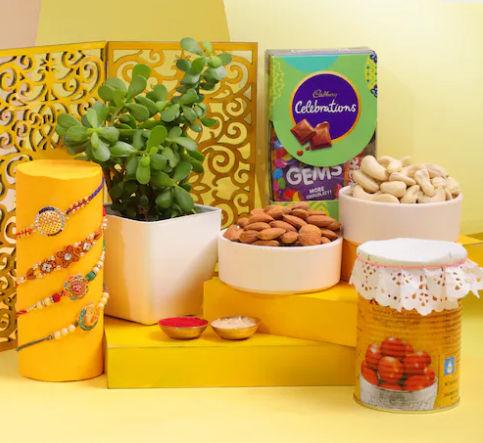 Jade Plant Rakhi Harmony - Set of 4 with Sweets & Dry Fruits