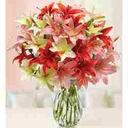 Lilies Fusion Flower