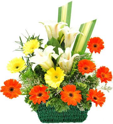 Love Crush Flower