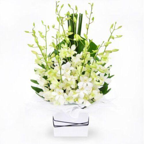 Charming White Flower