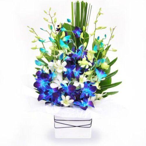 Love Mashup Flower
