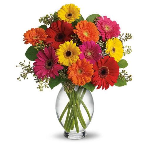 Lovely Gerberas Flower