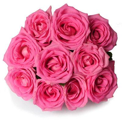 Pinky Flower