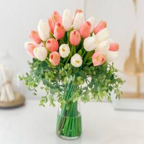 Natural Beauty Tulip Flower