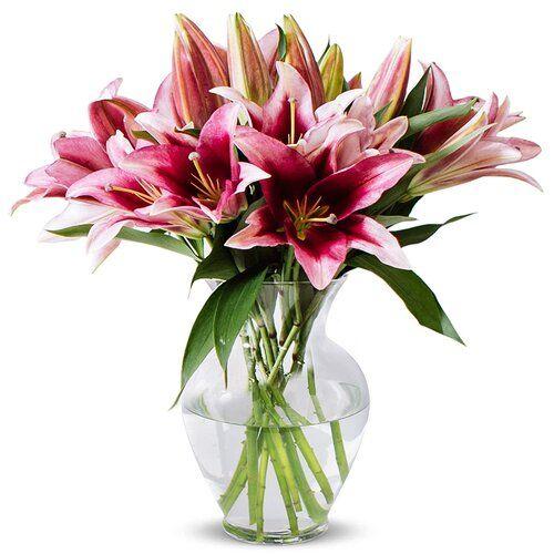 Rosy Bloomers Flower