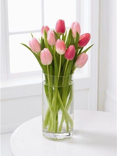 Love Tale Tulip Flower