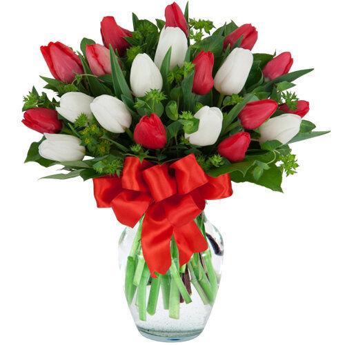 Timeless Bonanza Tulip Flower 