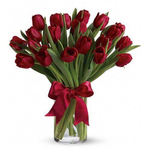 My Emotions Tulip Flower