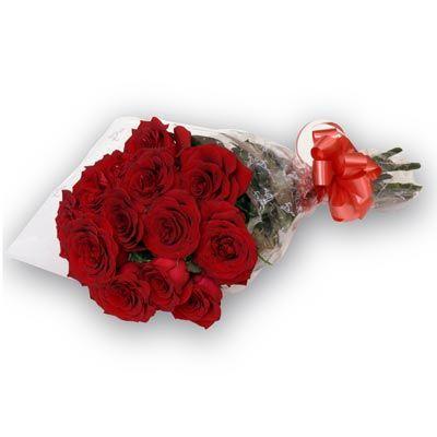 Elegant Rose Flower