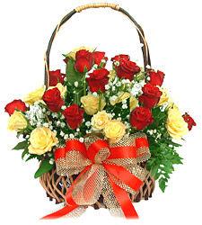 Roses Flower Of Love and Friendship