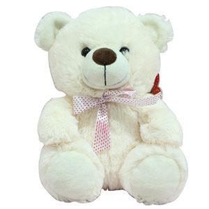 Large Teddy Bear (12") Addon