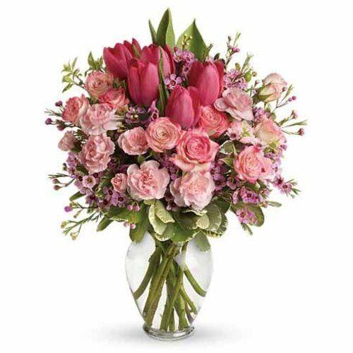 Pink Perfection Tulip Flower