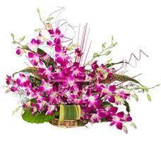 Orchids Desire Flower