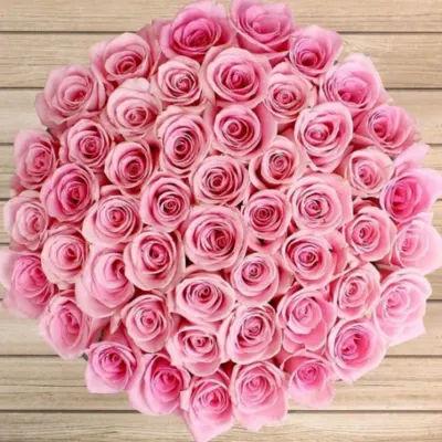 50 Pink Roses Bouquet
