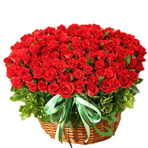 100 Red Roses Flower