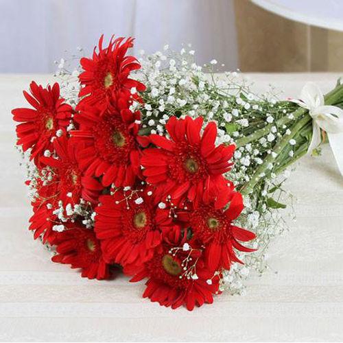 Red Gerbera Flower Bouquet