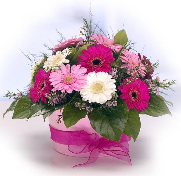 18 Gerberas Flower in a basket with ribbon