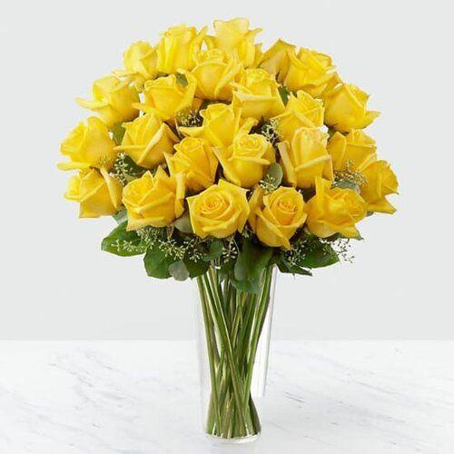 24 Yellow Roses Flower