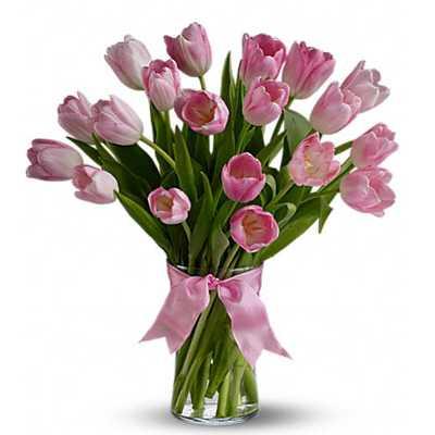 Alluring Pink Tulips Flower