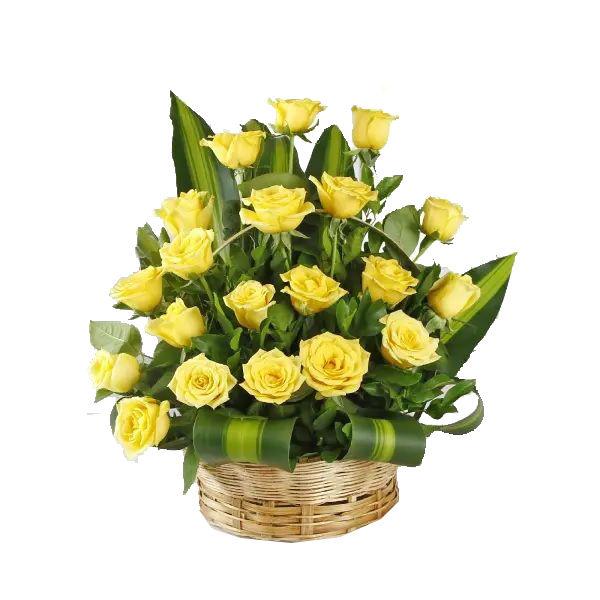 20 Yellow Roses Basket Flower