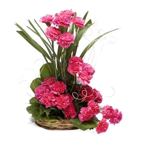 18 Pink Carnations Flower Basket