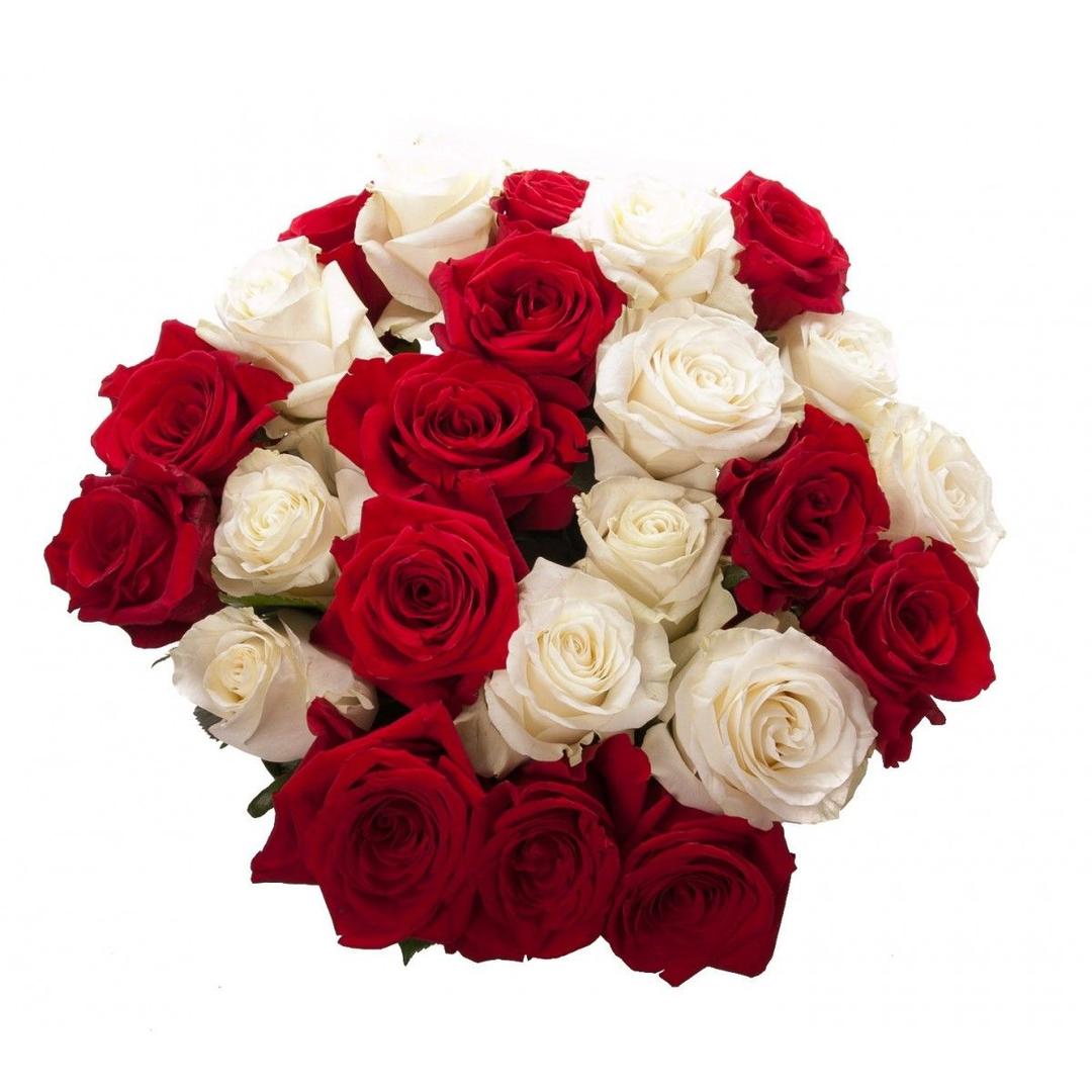 20 Red and White Roses Flower Bouquet