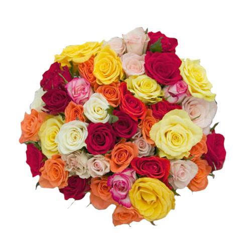 Assorted Roses Flower - Grand