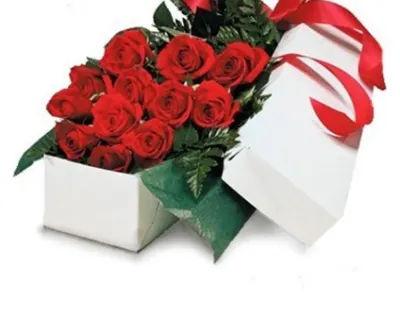 Red Roses In Box
