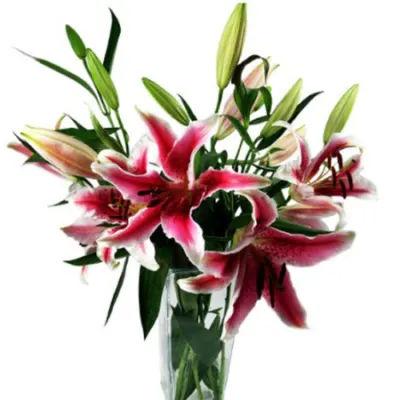 Oriental Lilies Bouquet