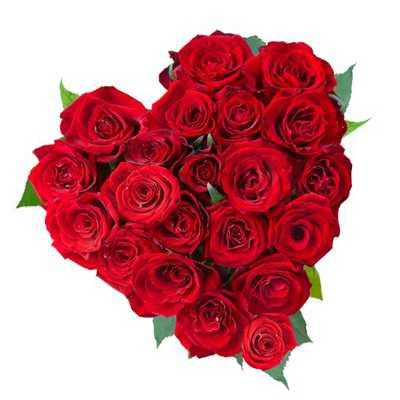 Heart of red roses Flower