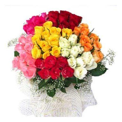 70 Mixed Roses Flower