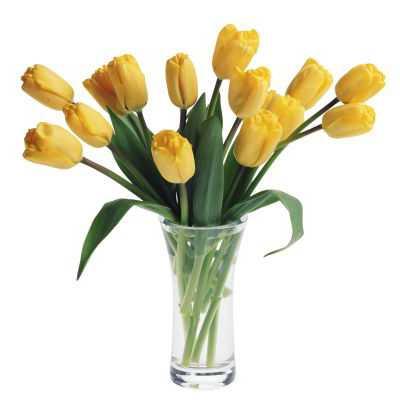 Endearing Yellow Tulips Flower