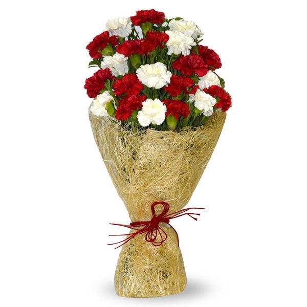 Classy Carnations Flower