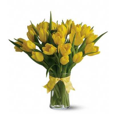 Radiant Yellow Tulips Flower
