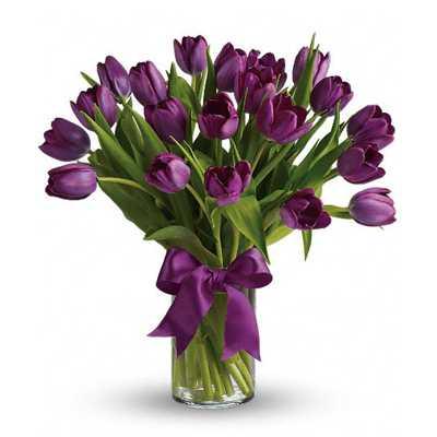 Lavish Purple Tulips Flower