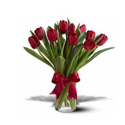 Vivid Red Tulips Flower