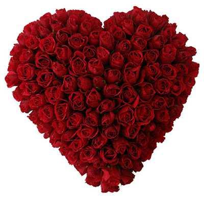 50 Red Roses Heart Flower