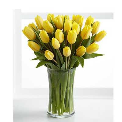 Optimistic Yellow Tulips Flower