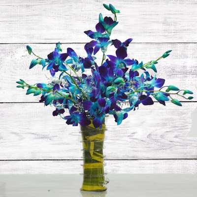 Blue Orchids Flower