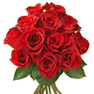 8 Red Roses Flower Bunch Addon
